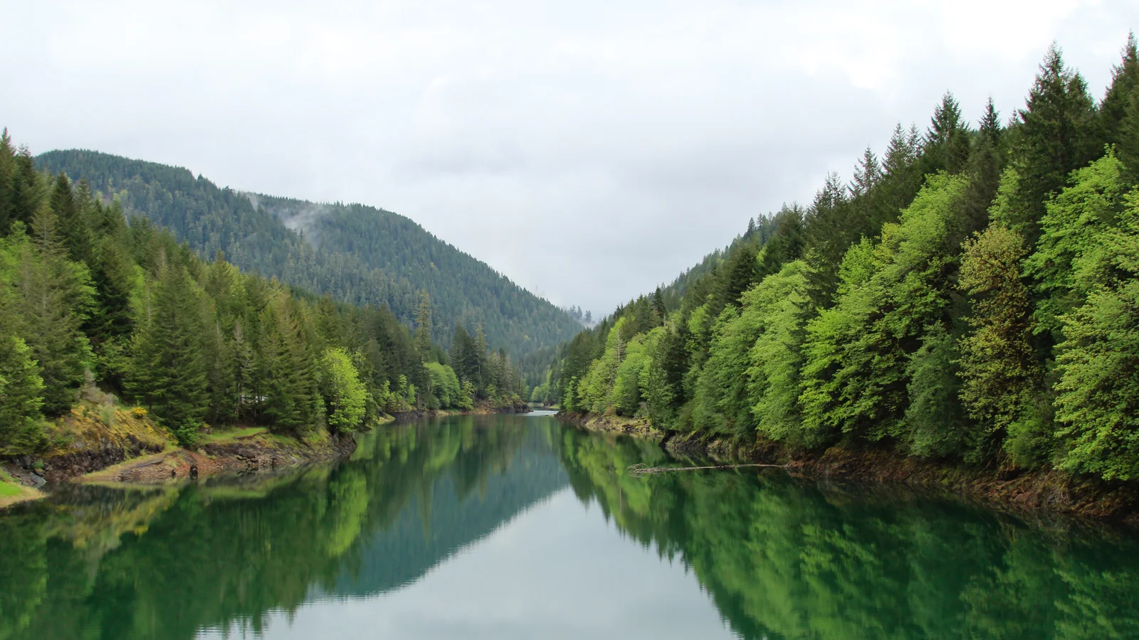 Green Peter Lake, Oregon (32088508730).jpg