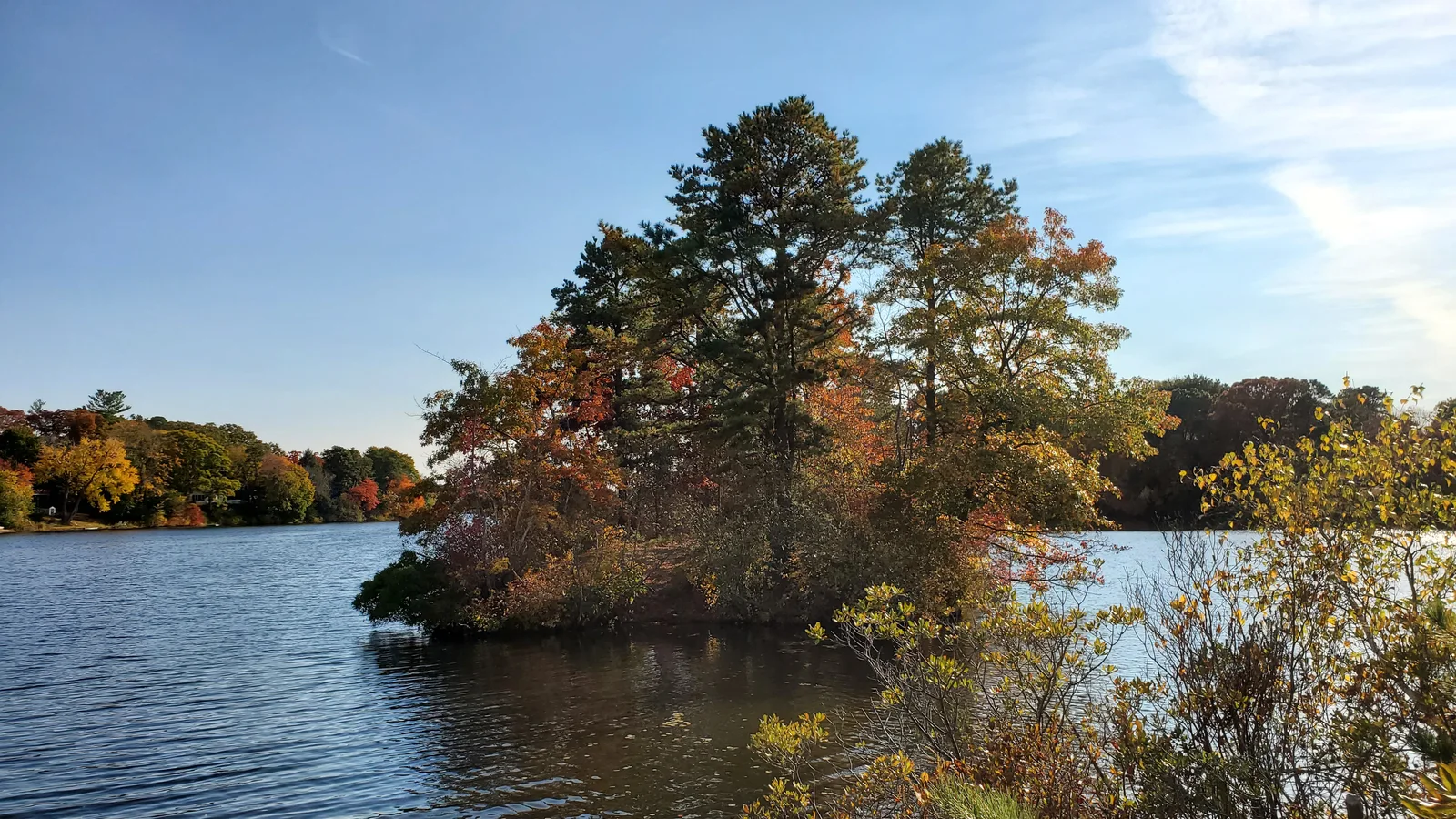 Charles River Branch embankment on Harris Pond (1), October 2020.jpg