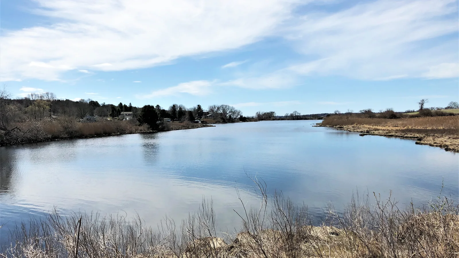 Nonquit Pond from Pond Bridge Road, Tiverton.jpg