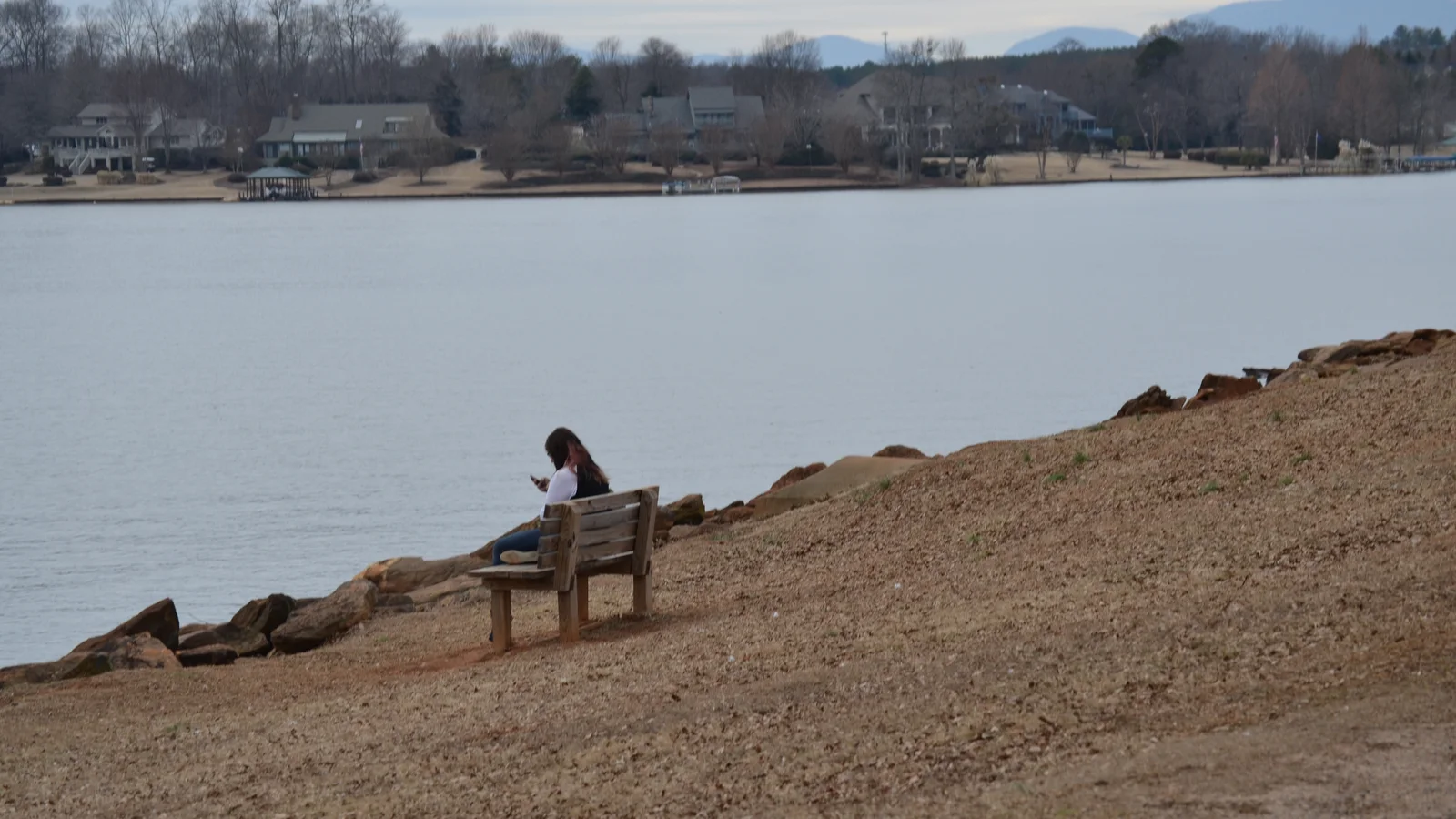 Bench near Lake Bowen.jpg