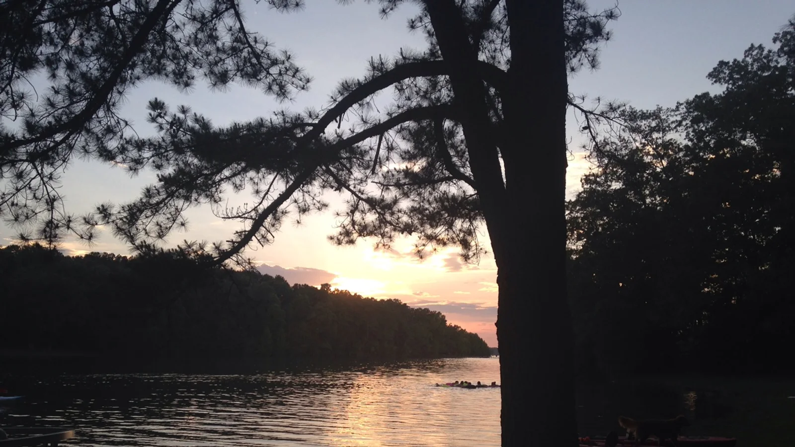 Tims Ford State Park, Campground view, June 2014.jpg