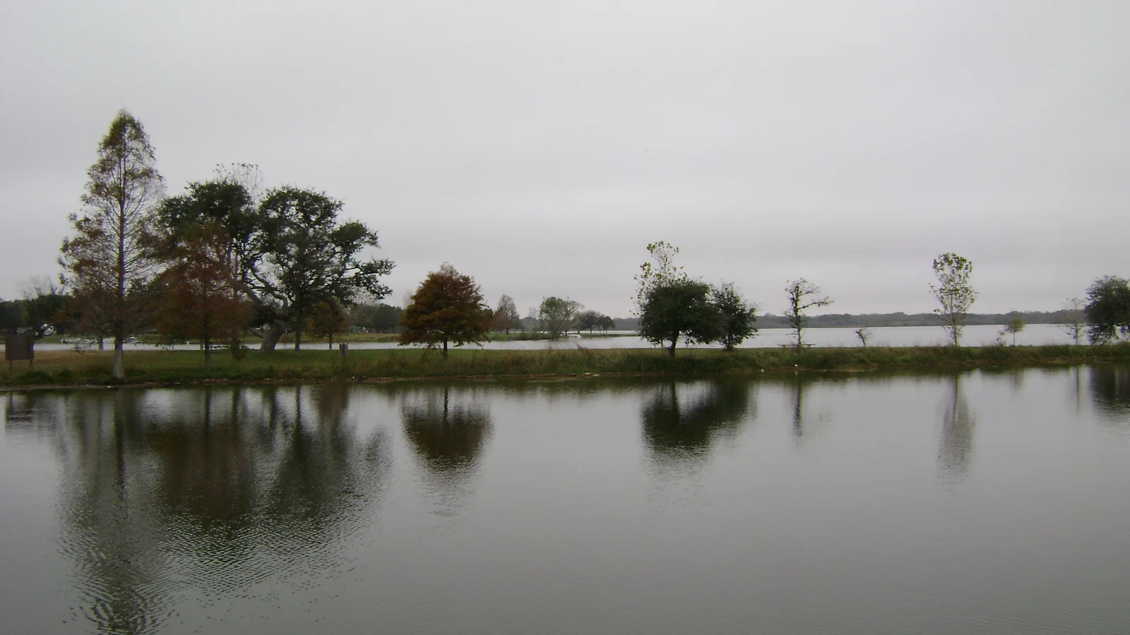 Coleto Creek.jpg