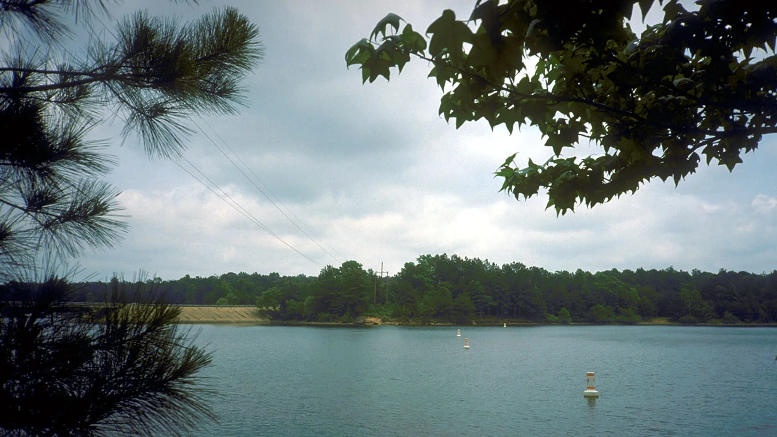 Lake O the Pines Texas.jpg