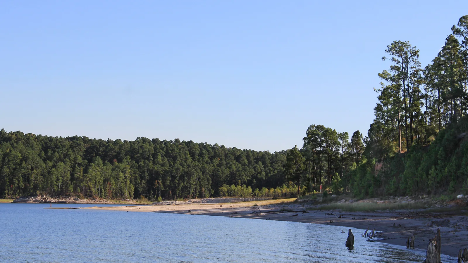 Sam Rayburn Reservoir.jpg