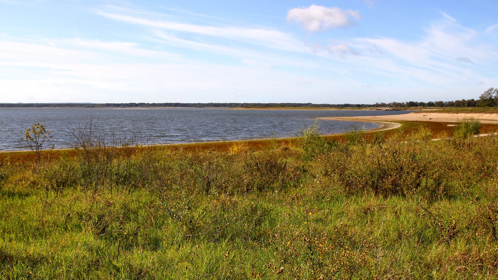 Lake View from Lake Somerville SP Texas 2023.jpg