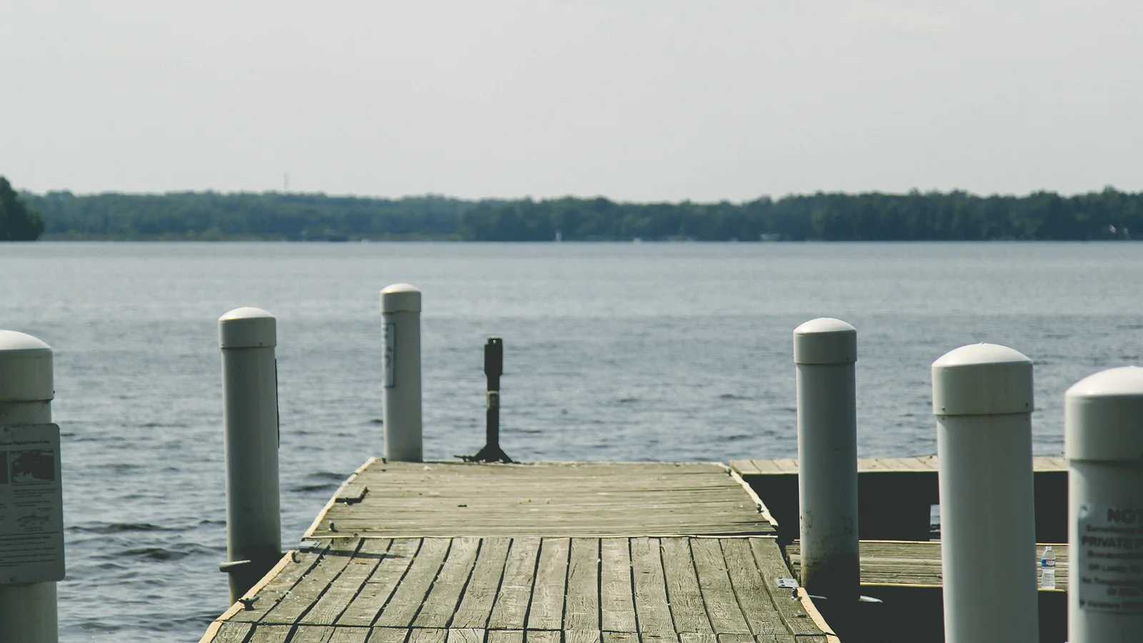 Dock (73482925).jpeg